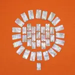 Bottoni Madreperla Agoya Rettangolo Fori Esterni Set393 01 - MakaMaga