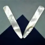 Stecche Madreperla Camicia Set307 01 - MakaMaga