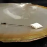 Spillone Cravatta Madreperla Bianca Gs001 01 - MakaMaga