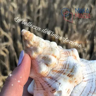 Conchiglia Fasciolaria Trapezium Con004 02 - MakaMaga