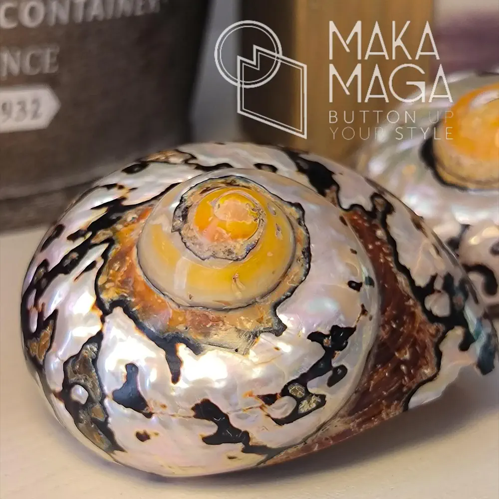 Conchiglia Turbo Sarmaticus Con007 04 - MakaMaga